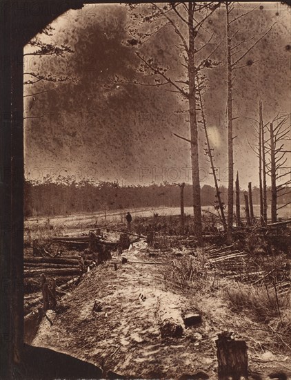 The Wilderness Battlefield, 1864.