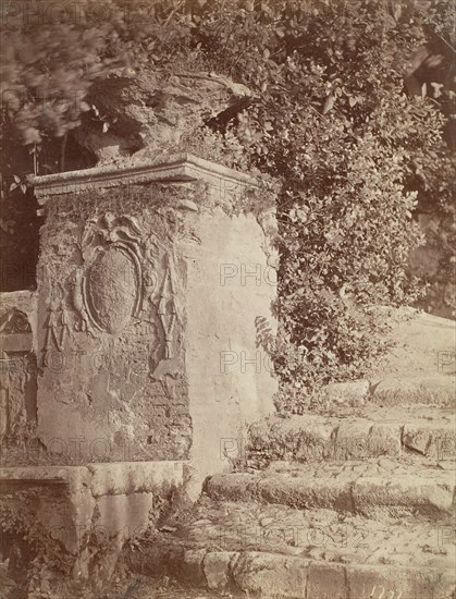 [Ruins in a Garden], 1870s.