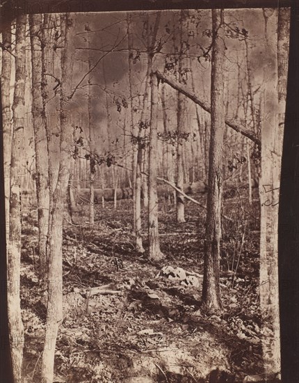 The Wilderness Battlefield, 1864.