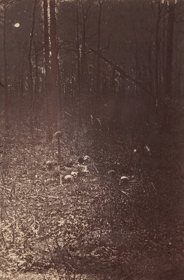 The Wilderness Battlefield, near Spotsylvania, Virginia, 1865 (?).