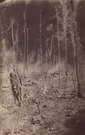 The The Wilderness Battlefield, near Spotsylvania, Virginia, 1865 (?).