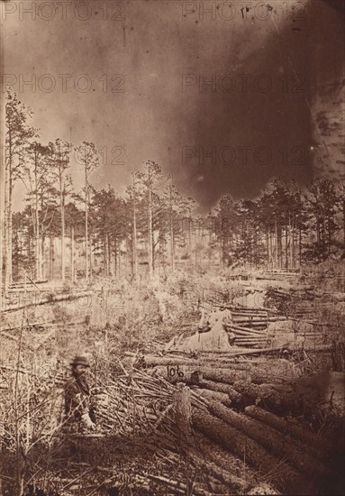 The Wilderness Battlefield, 1864.