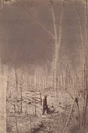 The Wilderness Battlefield, 1864.