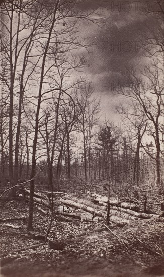 The Wilderness Battlefield, 1864.