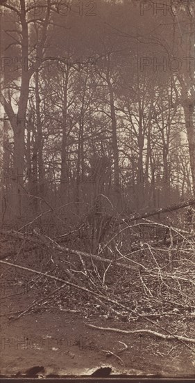 The Wilderness Battlefield, 1864.