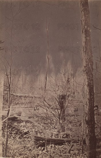 The Wilderness Battlefield, 1864.