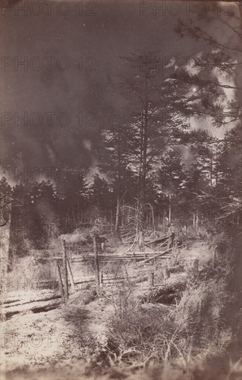 The Wilderness Battlefield, 1864.