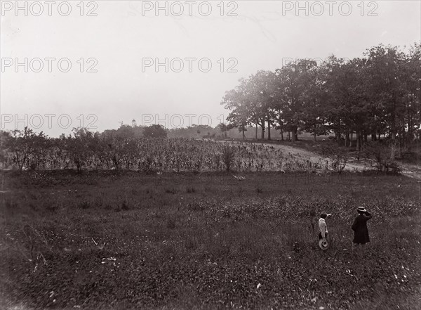 Gettysburg, Pennsylvania, 1863. Formerly attributed to Mathew B. Brady.