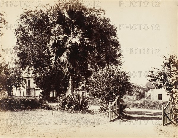 Gate Leading into Our House, 1850s.