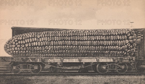 A Car Load of Texas Corn, ca. 1910.