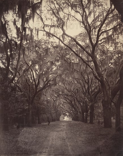 Bonaventure Cemetery, Four Miles from Savannah, 1866.
