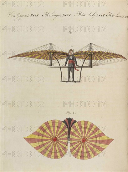 Children's Picture Book (Children's encyclopaedia) by Friedrich Johann Justin Bertuch, 1798-1830. Creator: Pupils of the Weimar Princely Free Drawing School.