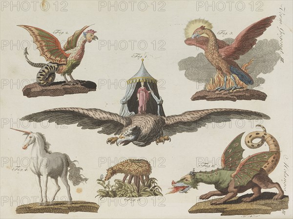 Children's Picture Book (Children's encyclopaedia) by Friedrich Johann Justin Bertuch, 1798-1830. Creator: Pupils of the Weimar Princely Free Drawing School.