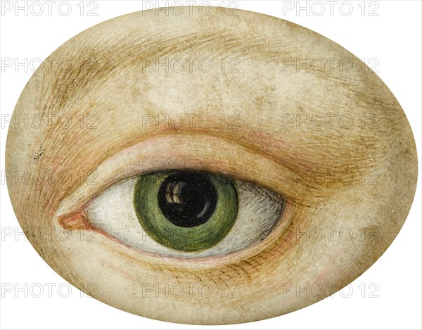 Eye, Early 19th cen.. Creator: Anonymous.