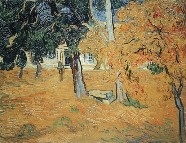 Garden in the Saint Paul's Hospital in Saint-Rémy, 1889. Creator: Gogh, Vincent, van (1853-1890).