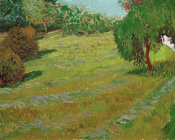 Garden with Weeping Willow, 1888. Creator: Gogh, Vincent, van (1853-1890).