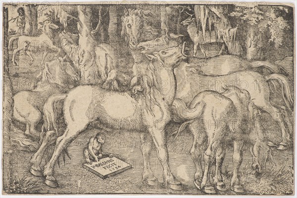 Group of Seven Horses, 1534. Creator: Baldung (Baldung Grien), Hans (1484-1545).