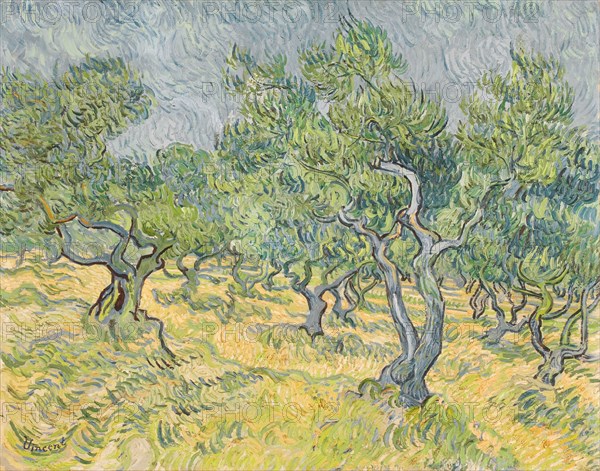 Olive grove, 1889. Creator: Gogh, Vincent, van (1853-1890).