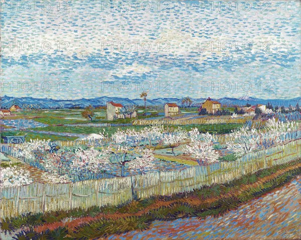 Peach Trees in Blossom, 1889. Creator: Gogh, Vincent, van (1853-1890).