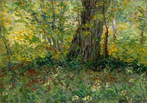 Sous-bois (Underwood), 1887. Creator: Gogh, Vincent, van (1853-1890).