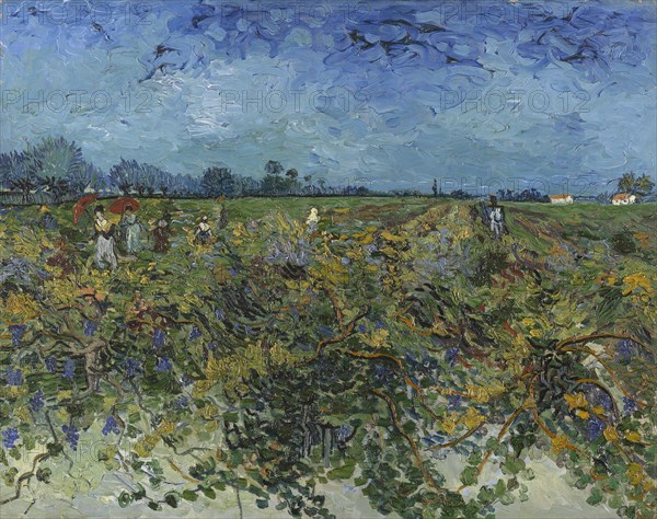 The Green Vineyard, 1888. Creator: Gogh, Vincent, van (1853-1890).
