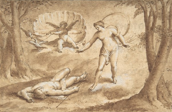 Venus Discovering the Death of Adonis, 17th century. Creator: Anon.