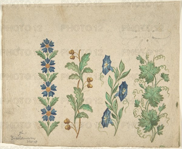 Designs for Embroidery, 19th century. Creator: Anon.