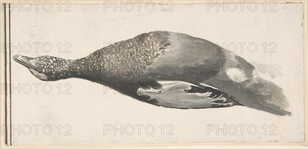 Dead Duck, 1685-1755. Creator: Giorgio Durante.