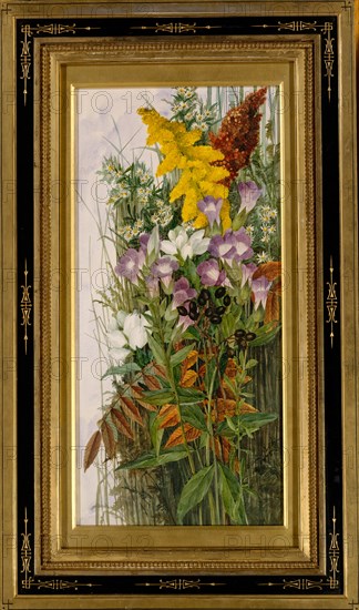 Wildflowers, 1875. Creator: Ellen Robbins.