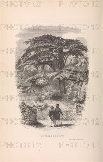 Le Jardin des Plantes, Descriptions et Moeurs des Mammiferes, 1842. Creator: Francois Boitard.