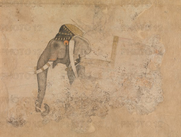 Elephant and Rider, ca. 1640. Creator: Attributed to Hashim.