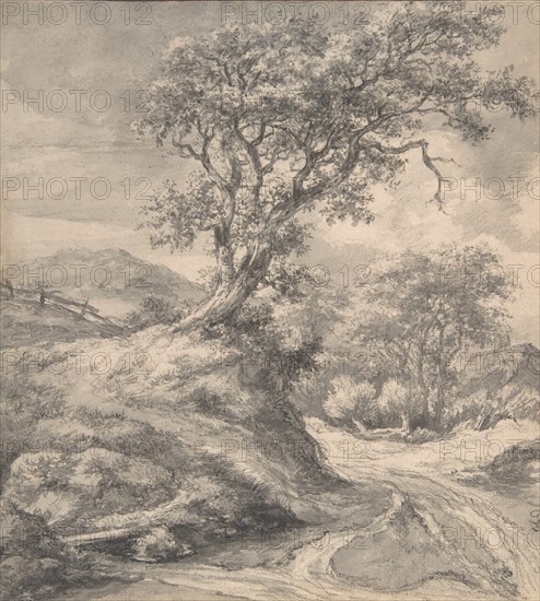 Dune Landscape with Oak Tree, 1650-55. Creator: Jacob van Ruisdael.