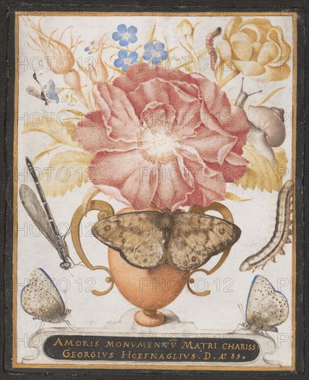 Still Life with Flowers, a Snail and Insects, 1589. Creator: Joris Hoefnagel.
