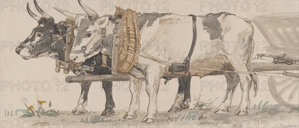 Two Oxen Pulling a Cart, 1874. Creator: Peter Christian Thamsen Skovgaard.