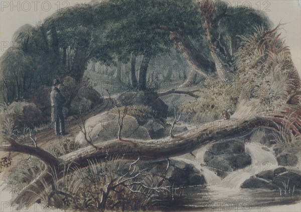The Entrance to a Wood, 1836. Creator: Robert Walter Weir.