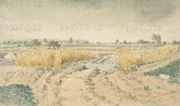 Wheatfields, 1865. Creator: Theodore Rousseau.