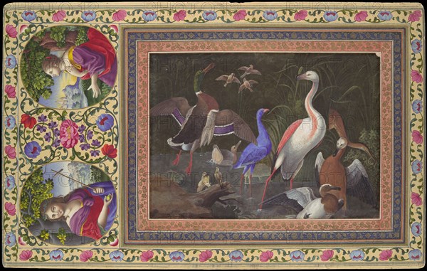 Aquatic Birds at a Pool, Folio from the Davis Album, 18th century. Creator: Unknown.