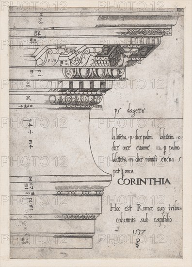 Speculum Romanae Magnificentiae: Entablature from the Temple of Castor and Pollux, Rome, 1537., 1537 Creator: Master PS.