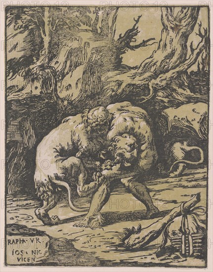 Hercules and the Nemean Lion, 1540-50., 1540-50. Creator: Niccolo Vicentino.