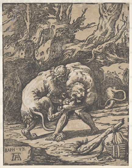 Hercules and the Nemean Lion, 1540-50., 1540-50. Creator: Niccolo Vicentino.