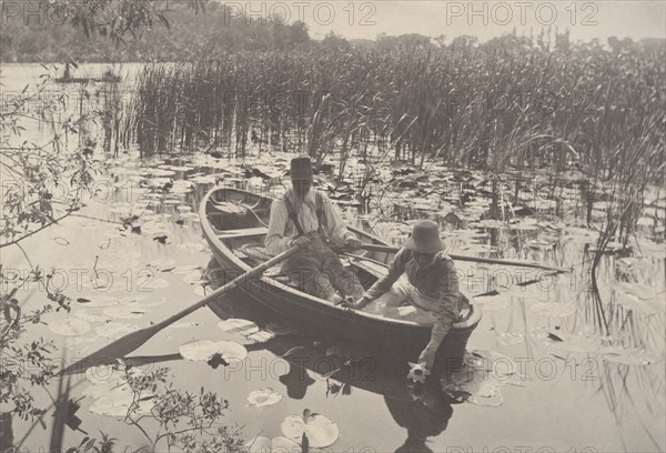 Life and Landscape on the Norfolk Broads, 1885-86., 1885-86. Creator: Dr Peter Henry Emerson.