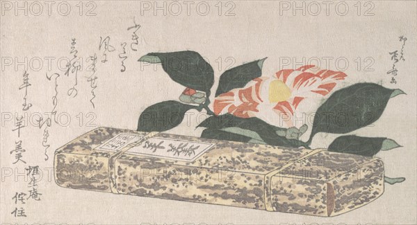 Camellia Flower and Yokan (a sort of bean jelly) Wrapped in Bamboo Skin, 1811., 1811. Creator: Shinsai.