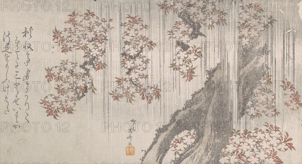 Cherry Blossoms in the Rain, 19th century., 19th century. Creator: Shinsai.