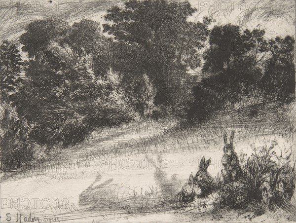 Combe Bottom, 1860., 1860. Creator: Francis Seymour Haden.