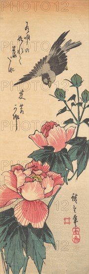 Sparrow and Hibiscus, ca. 1834., ca. 1834. Creator: Ando Hiroshige.