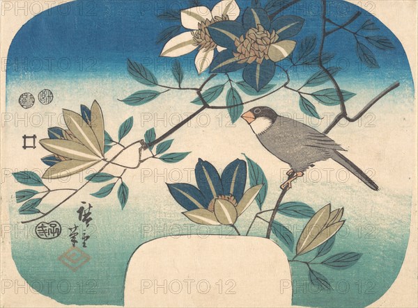 Clematis and Bird, 1852., 1852. Creator: Ando Hiroshige.
