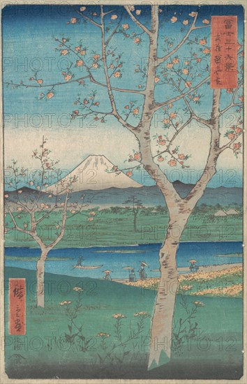 View of Mount Fuji from Koshigaya, Province of Musashi (Musashi, Kos..., 4th month, Horse year 1858. Creator: Ando Hiroshige.