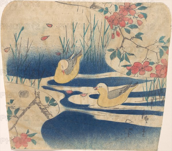 Hooded Gulls and Cherry Blossoms, probably 1850-62., probably 1850-62. Creator: Ando Hiroshige.