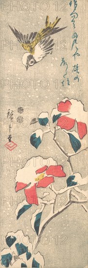 Sparrow and Snow-covered Camellia (Tsubaki), ca. 1845., ca. 1845. Creator: Ando Hiroshige.