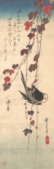 Long-tailed Tit on Autumn Ivy, ca. 1835., ca. 1835. Creator: Ando Hiroshige.